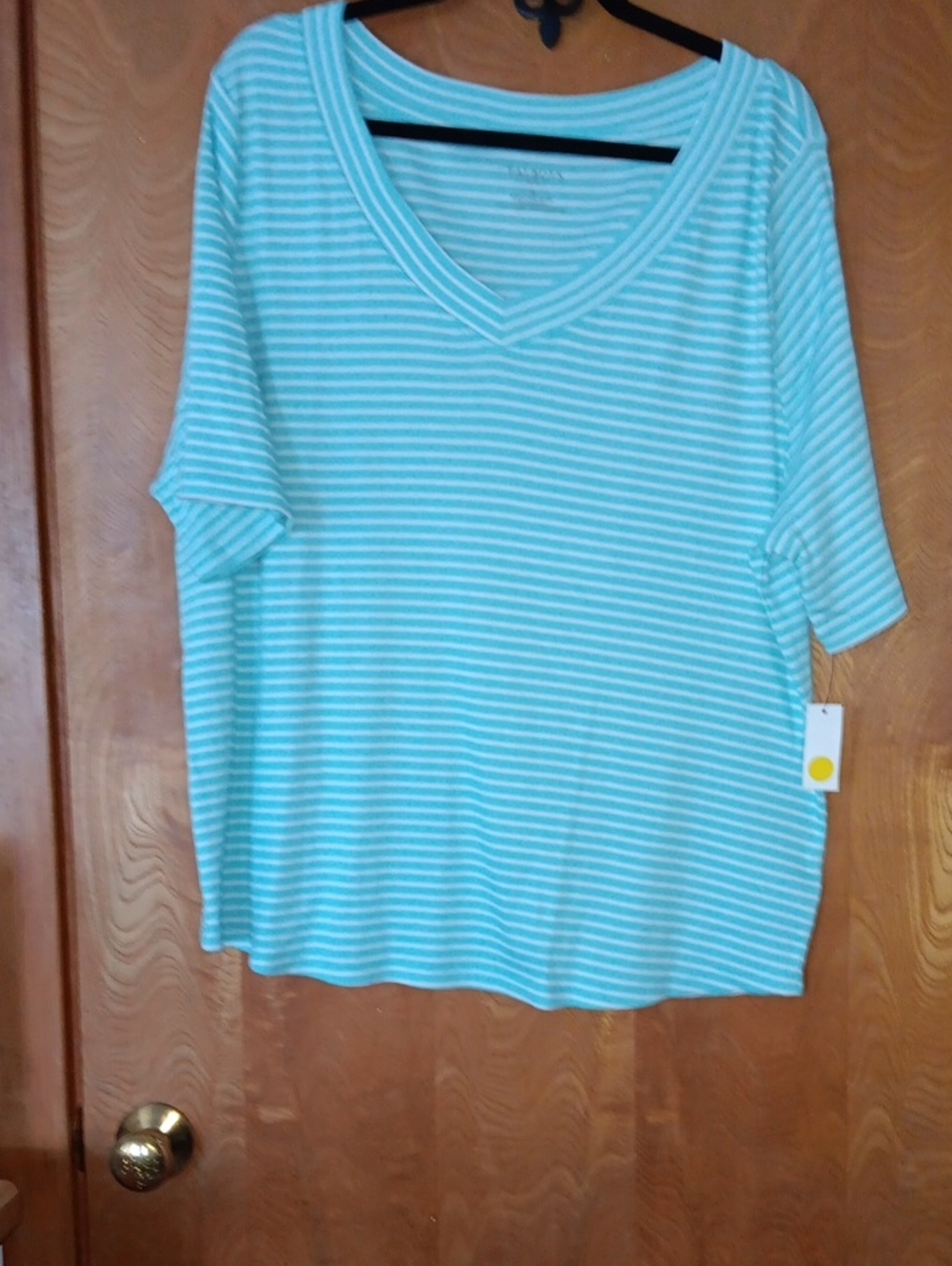 Talbots Striped Short-Sleeve V-Neck Top in Aqua and White